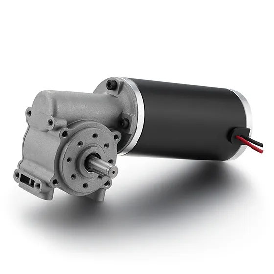 Worm Gear Motor