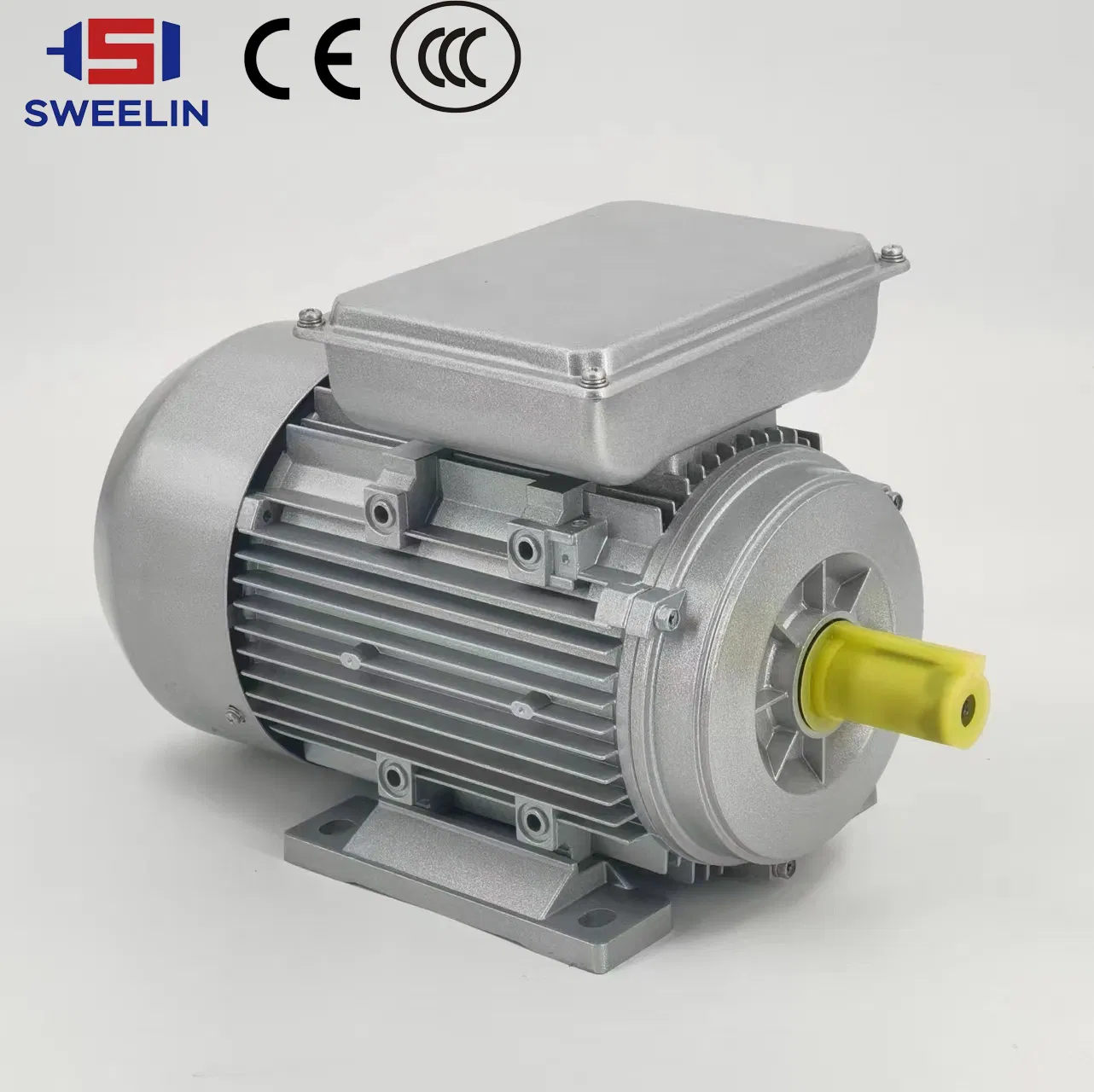 AC Induction Electrical/Electric Motor 3 Phase Motor with 3kw 4kw 5.5kw 7.5kw