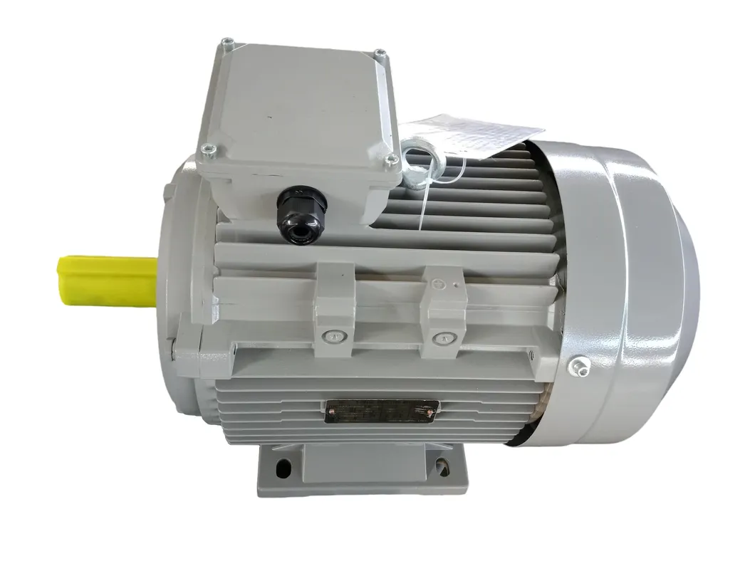 YE3 200L-4 Electric Motor
