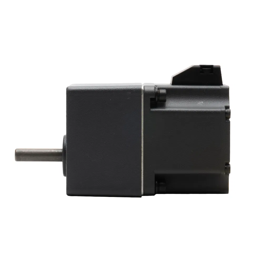 30W-750W 24V 110V 220V Parallel Shaft Low Noise High Efficiency Geared BLDC Motor