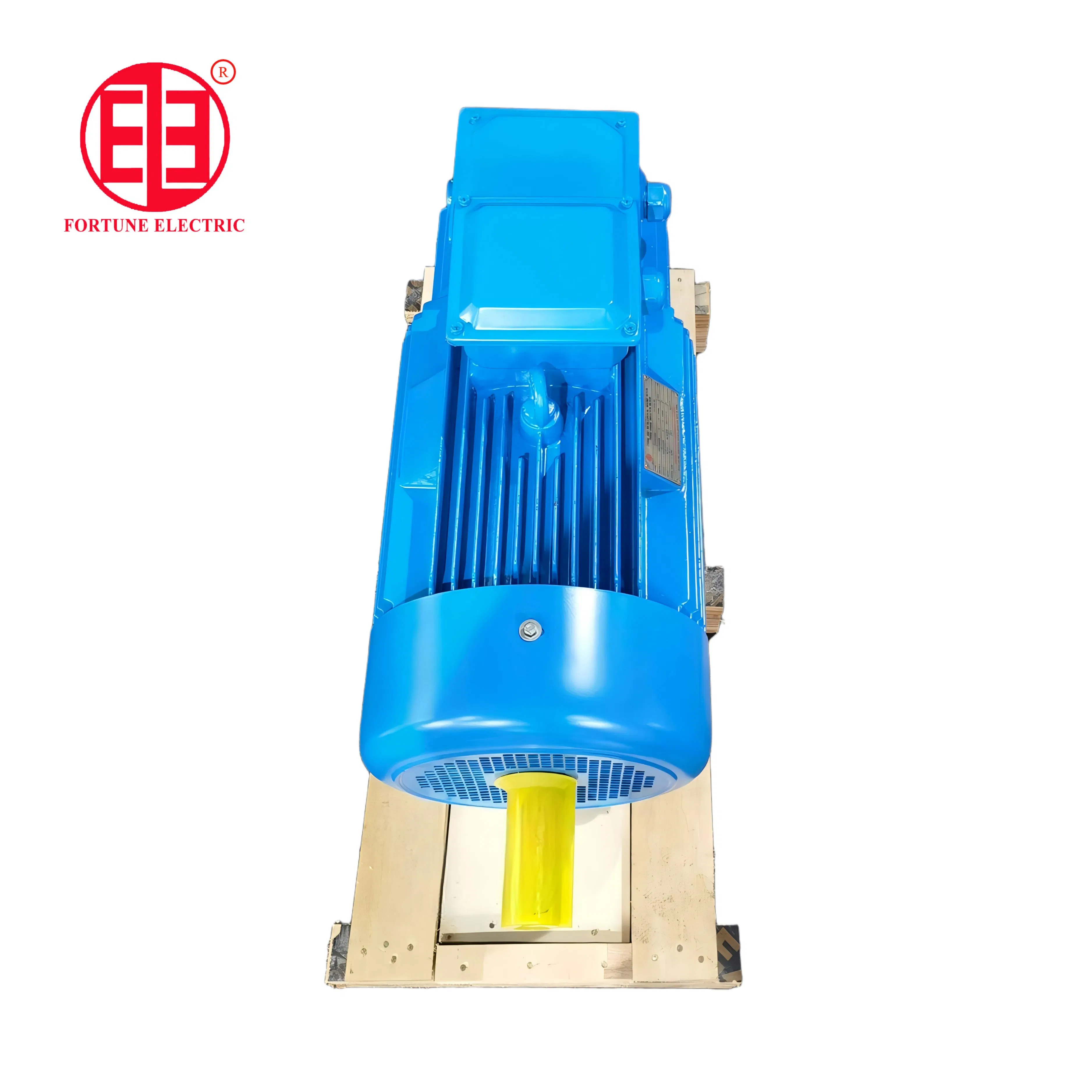 Heavy Duty 550kw Electric Motor with 15 Months Warranty