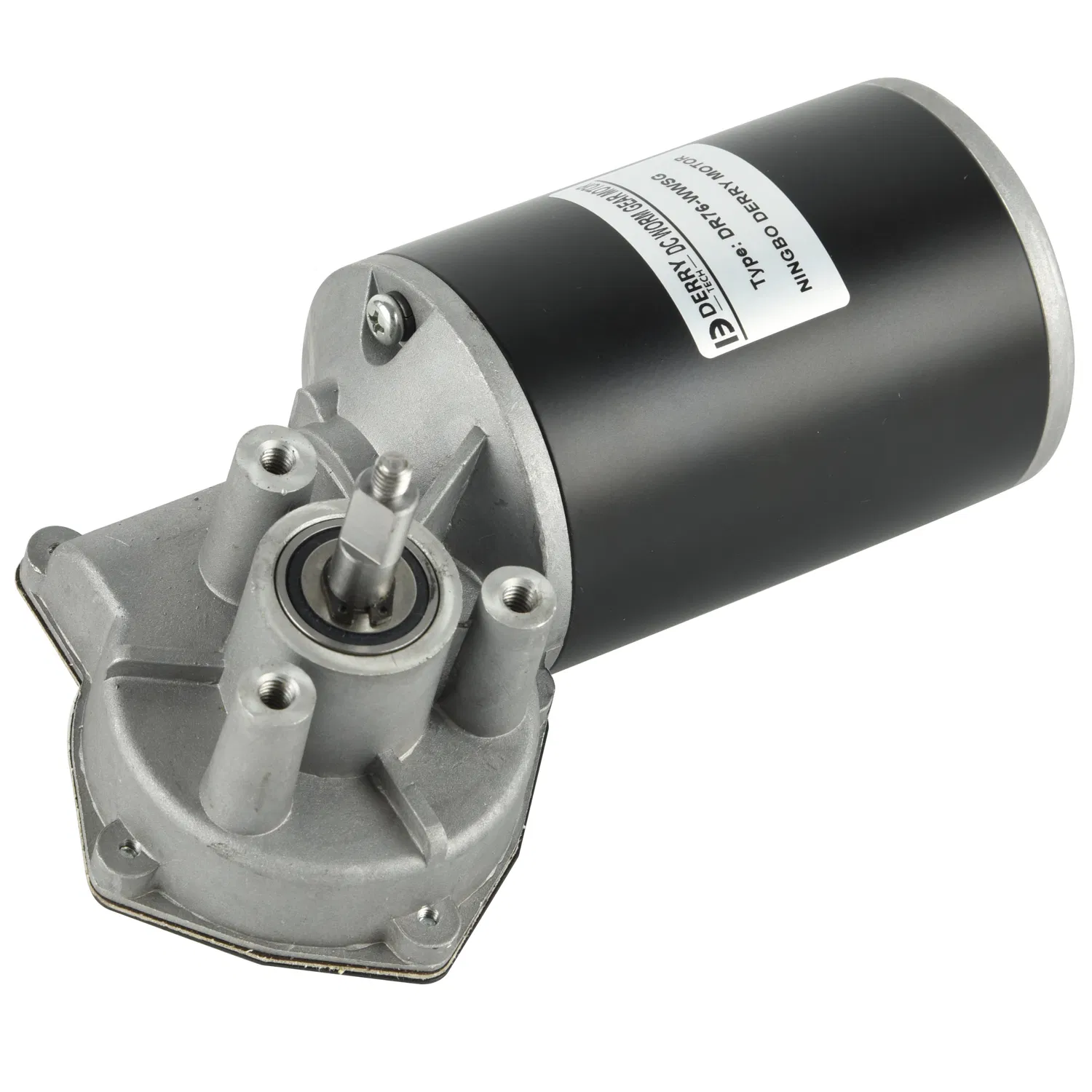 Worm Gear Reducer Motor 24V Silent DC Self-Locking Motor