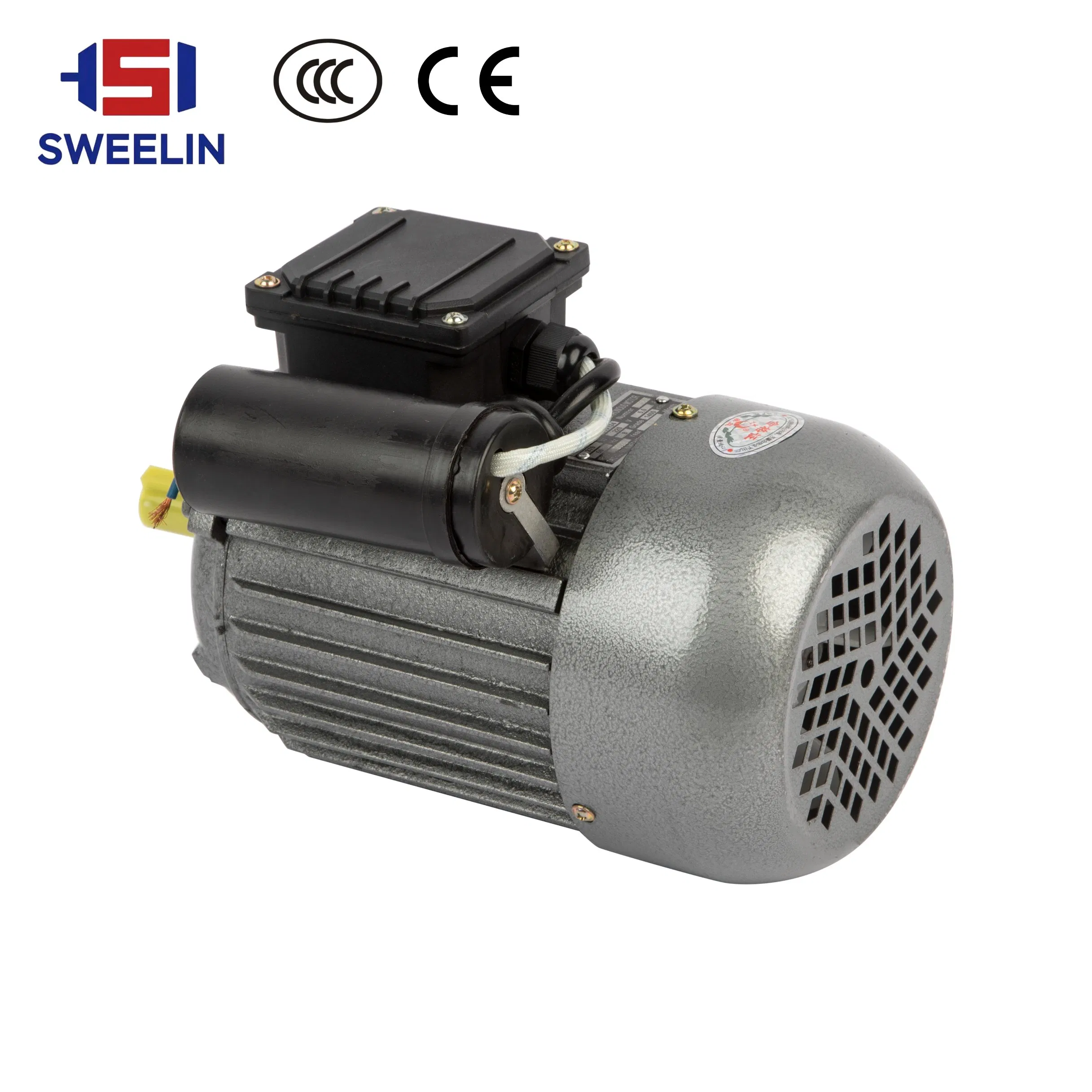 AC Induction Electrical/Electric Motor 3 Phase Motor with 3kw 4kw 5.5kw 7.5kw