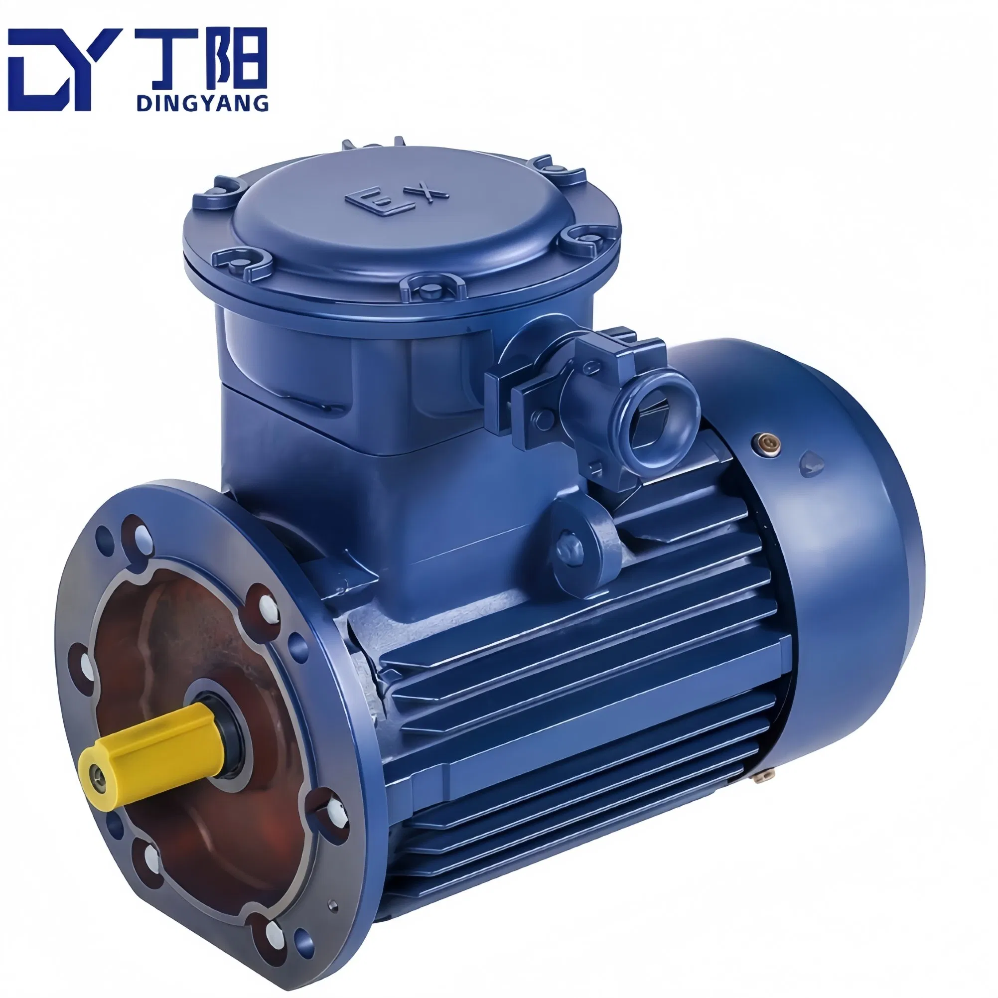 High Quality Three-Phase Motor Ybx3/Ybx4 Explosion- Proof Three Phase AC Electrical Induction Electric Motor