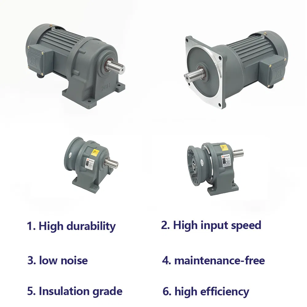 Motor Details