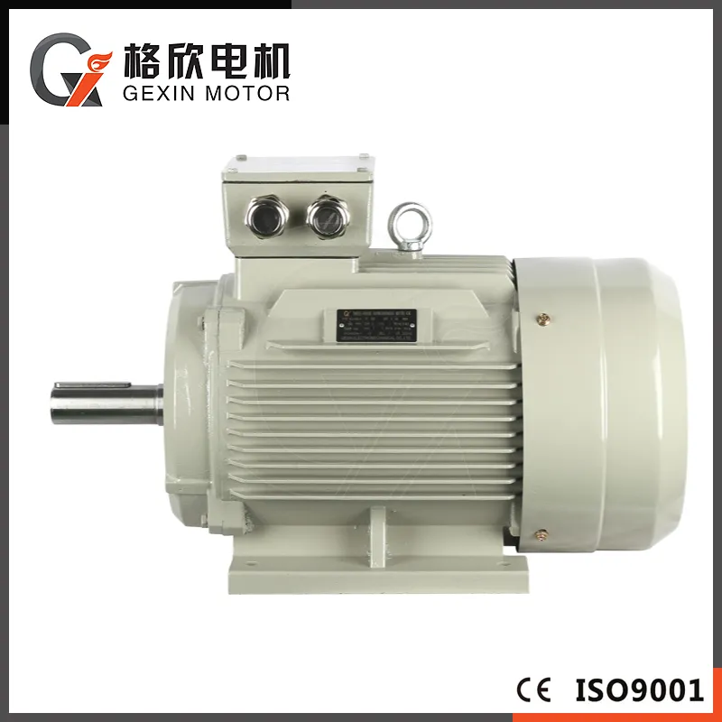 Motor Feature Detail