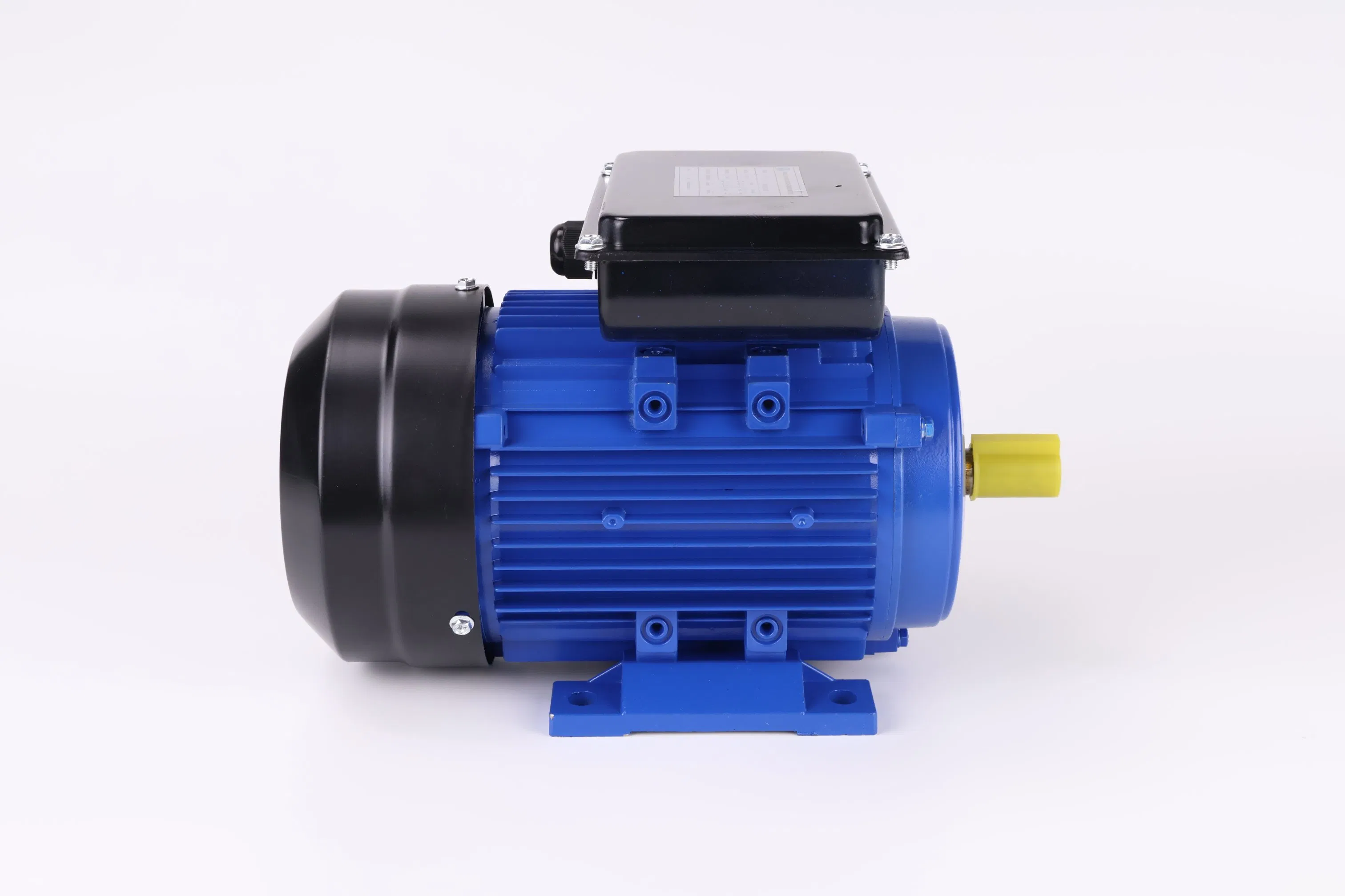 Two Capacitors Single Phase AC Induction Electric Motor