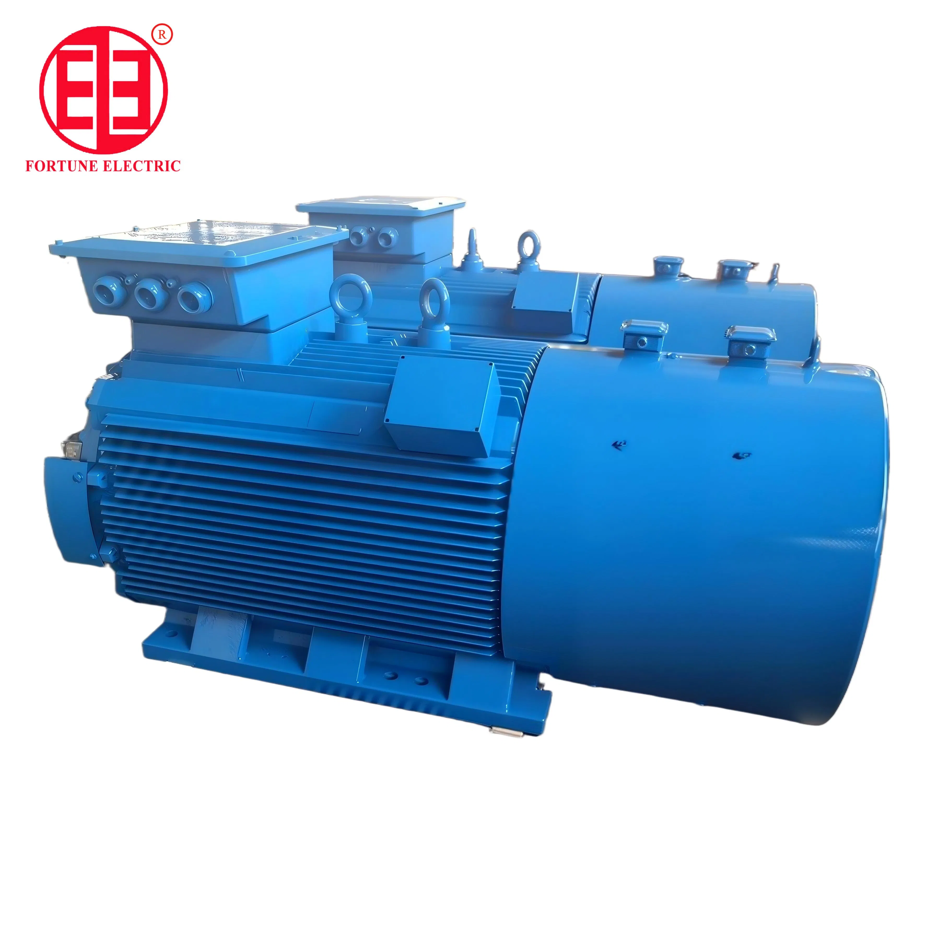 Heavy Duty 550kw Electric Motor with 15 Months Warranty
