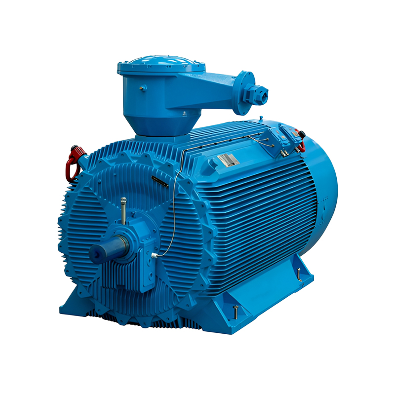 Variable Speed Compatible Tetc High Voltage Motor for Industrial Production Lines
