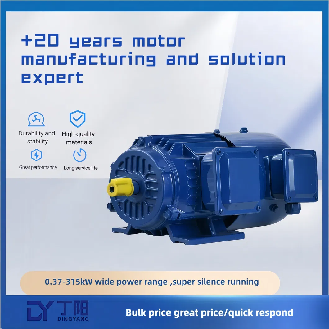 AC Induction Electric Motor