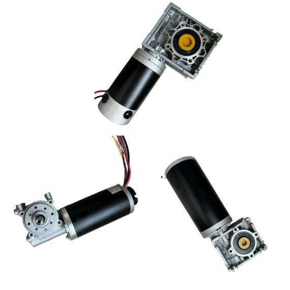 Custom Good Quality Power 10W-1500W Permanent Magnet Brushed DC Motor 24V 12V 36V 48V 60V to 320V PMDC Brush Electric Worm Gearbox and Planetary Gear Motors