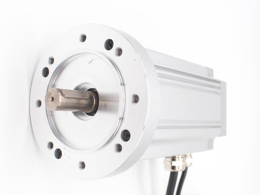 12V Motor High Precision Long Lifespan DC Brushless Servo Motor with Hall Sensor Brake