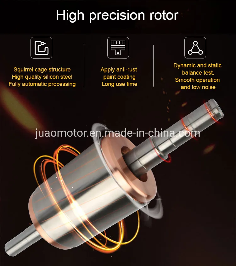 Electric Motor Detail 1