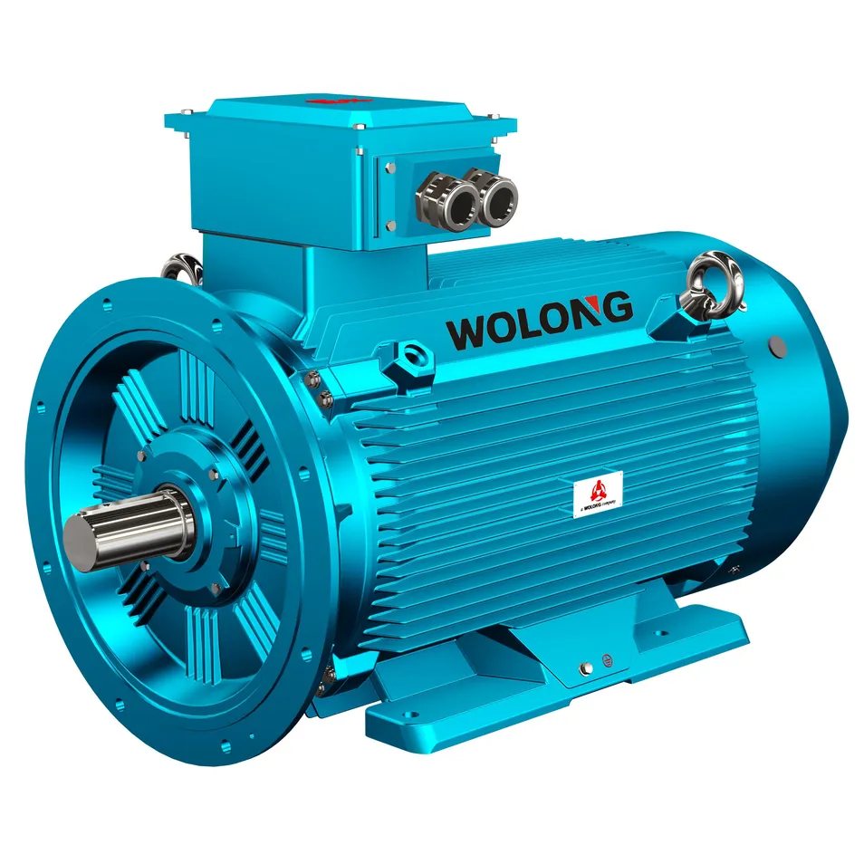Dust Explosion-Proof Motor
