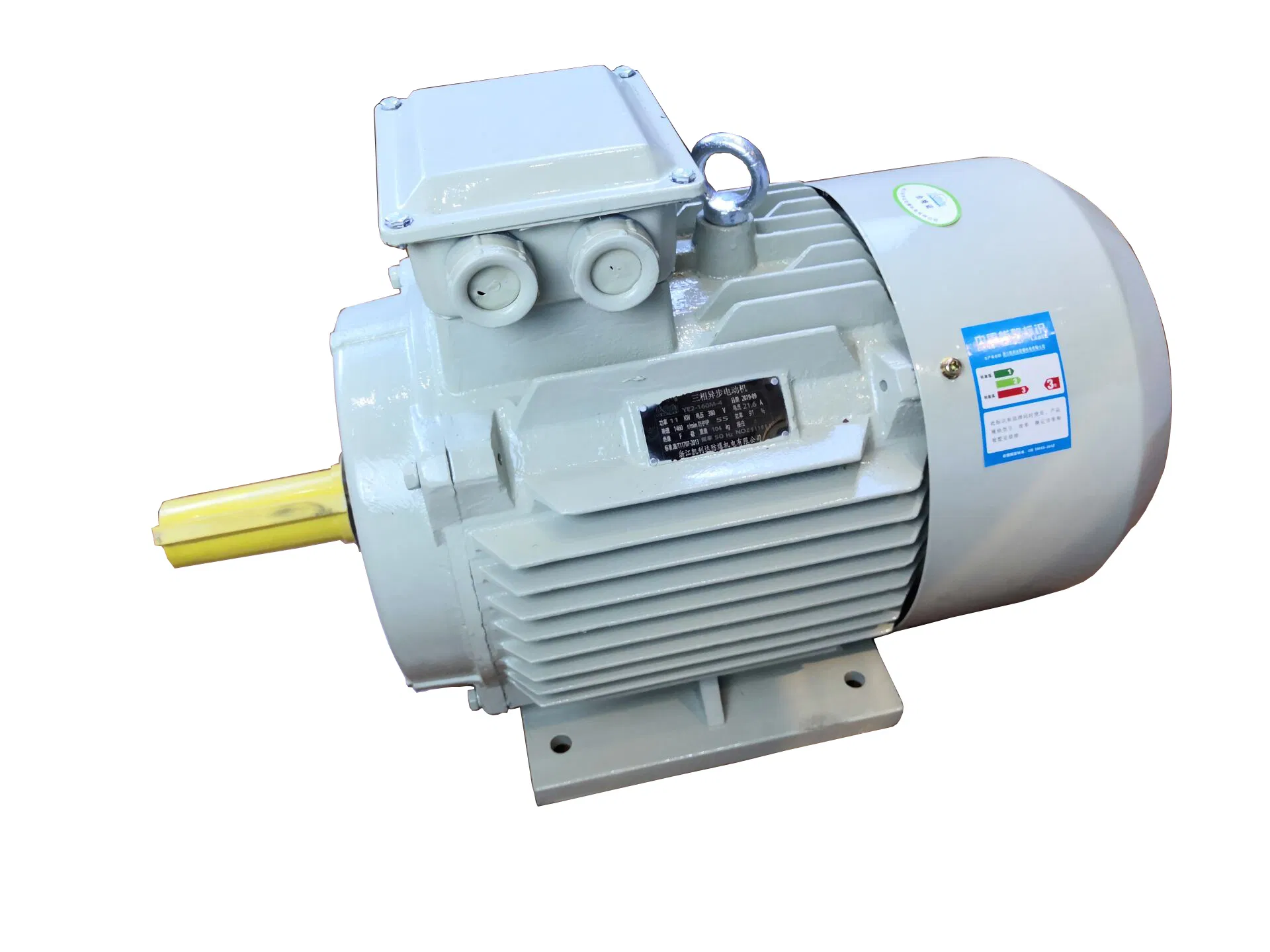 Kailida Ms Series Three Phase Asynchronous AC Induction Electric Motor