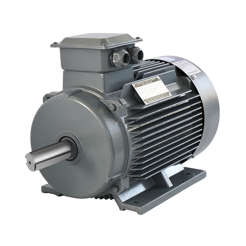 Variable Pole Multi-Speed Three-Phase Asynchronous Induction Electric Motor AC Motor 220V