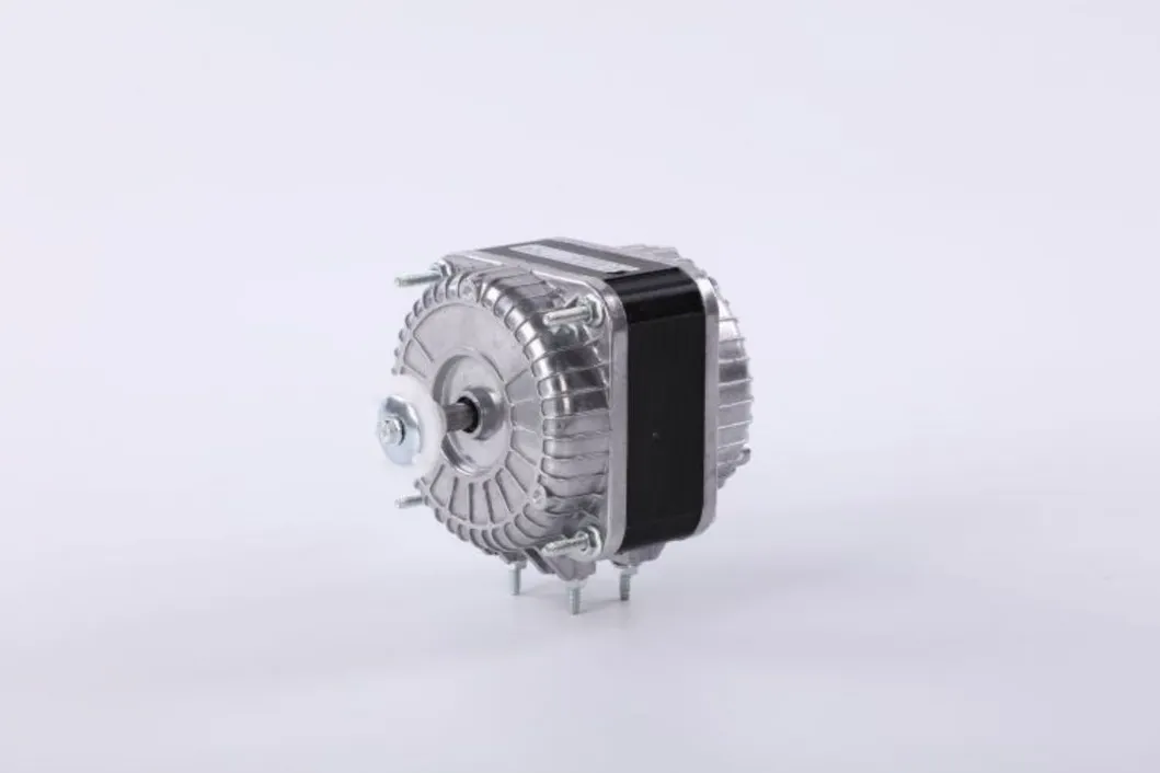 Motor Detail 1