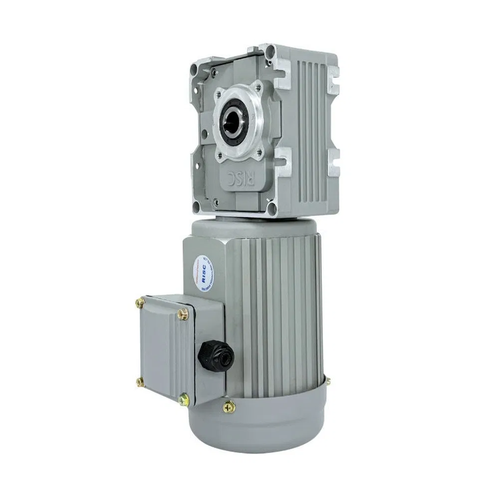 Low Vibration RF40 Worm Gear AC Asynchronous Motor for Automated Warehousing Conveying