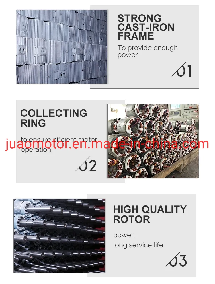 Electric Motor Detailed View