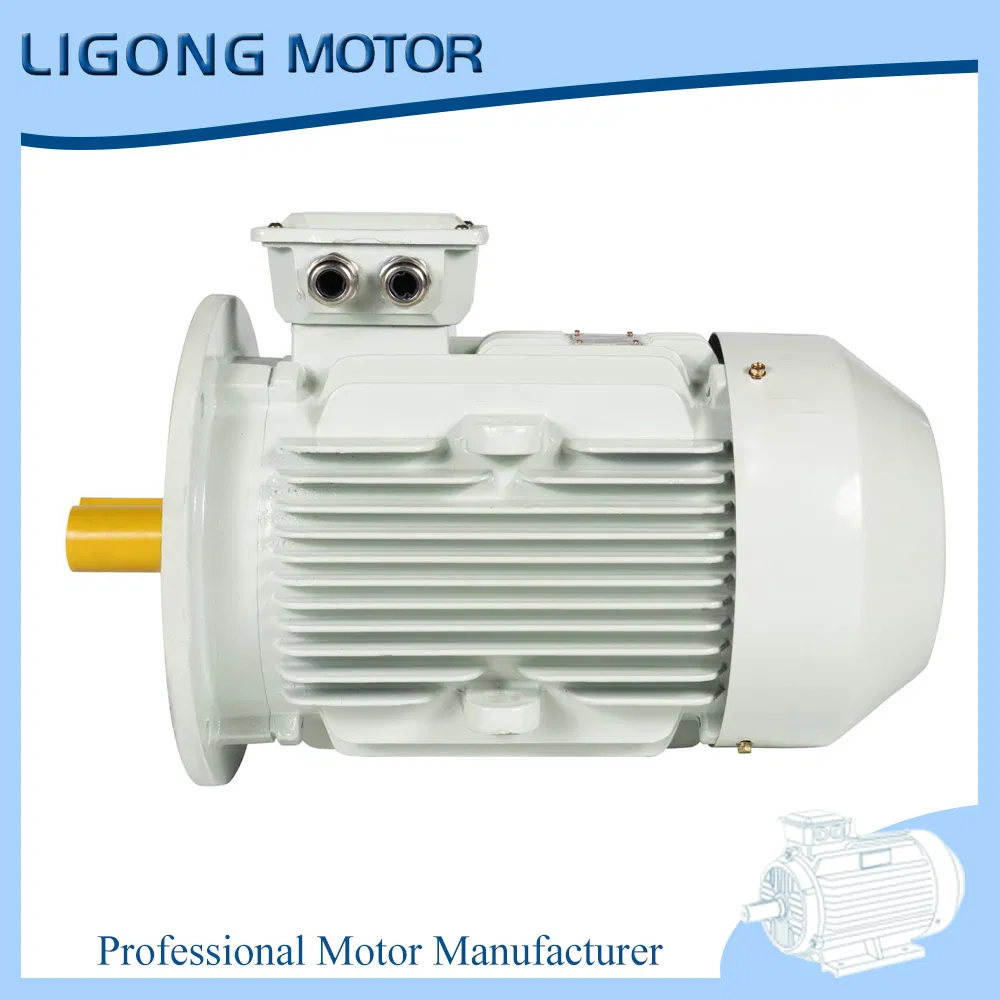 Ye5-315s-6 75kw 995rpm Ie5 Tefc Industrial Electric Motor Drives Factory Exhaust Fans