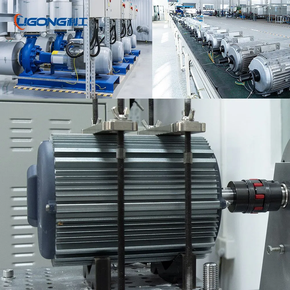 Ie3/Ie4/Ie5 Efficiency Three-Phase Asynchronous Electric AC Motor Induction Competitive Price