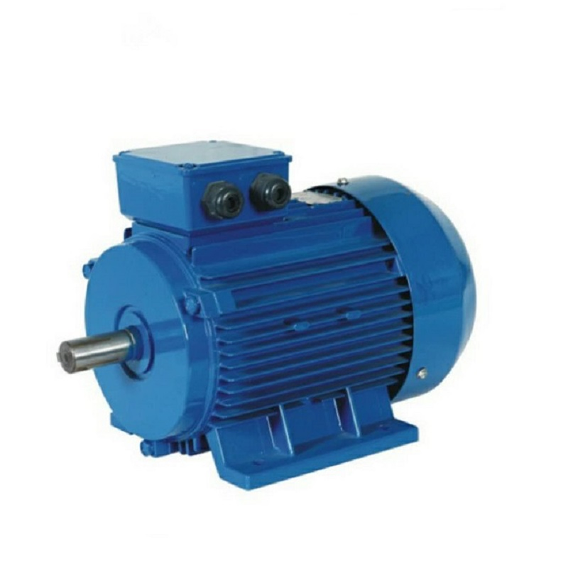 (IE3/IE2) Ye3-100L-2 (3kW/4HP) Three Phase AC Electric Motor CCC CE for Pump Fans Universal Machines OEM ODM Obm High Efficiency Motor IEC Standard