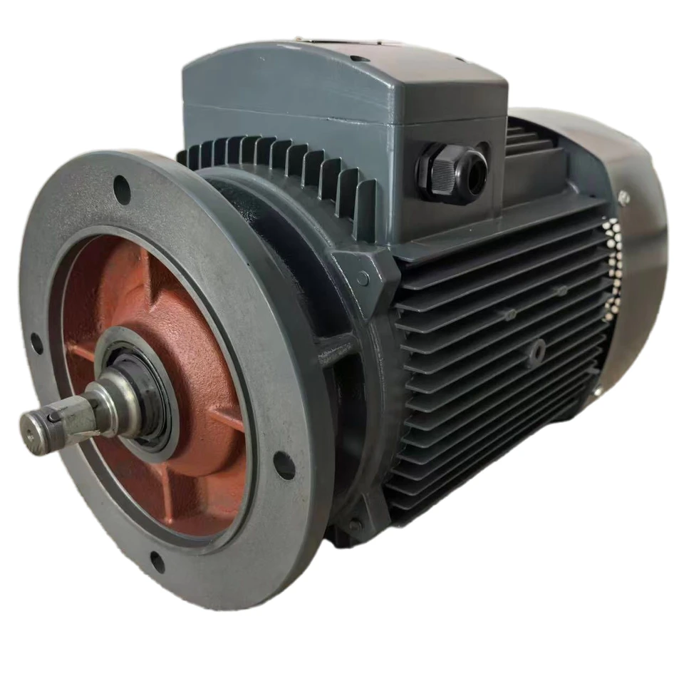 Three-Phase Electric Reduction Motor