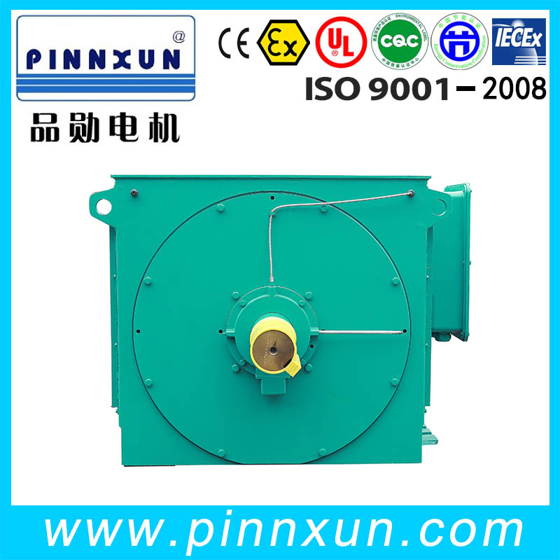Asynchronous Three Phase Electric High Voltage Motor for Cement Plant