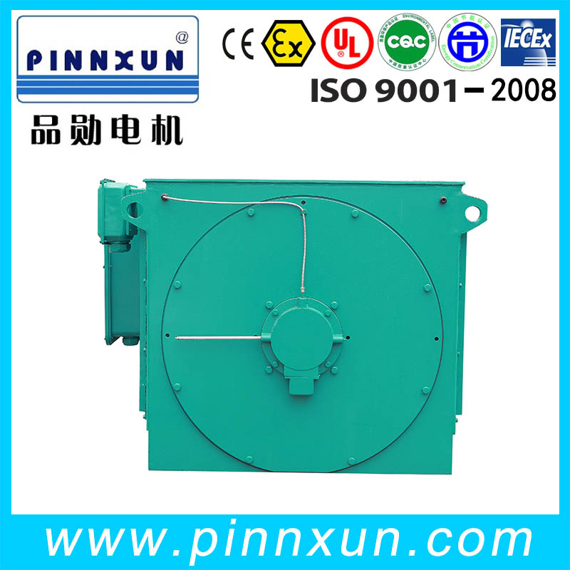 Asynchronous Three Phase Electric High Voltage Motor for Cement Plant