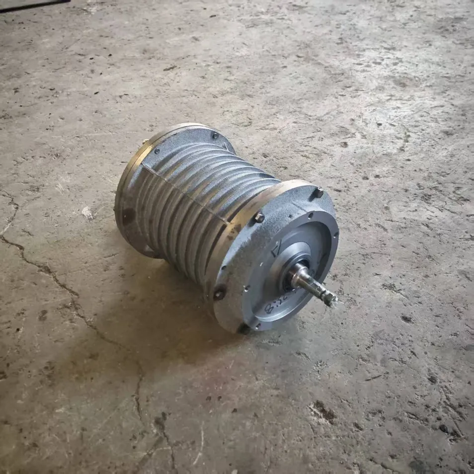 Industrial Roller Motor
