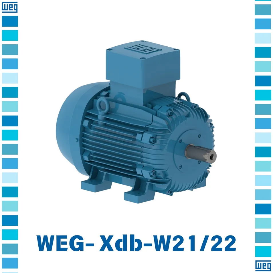 Explosion-Proof Motor