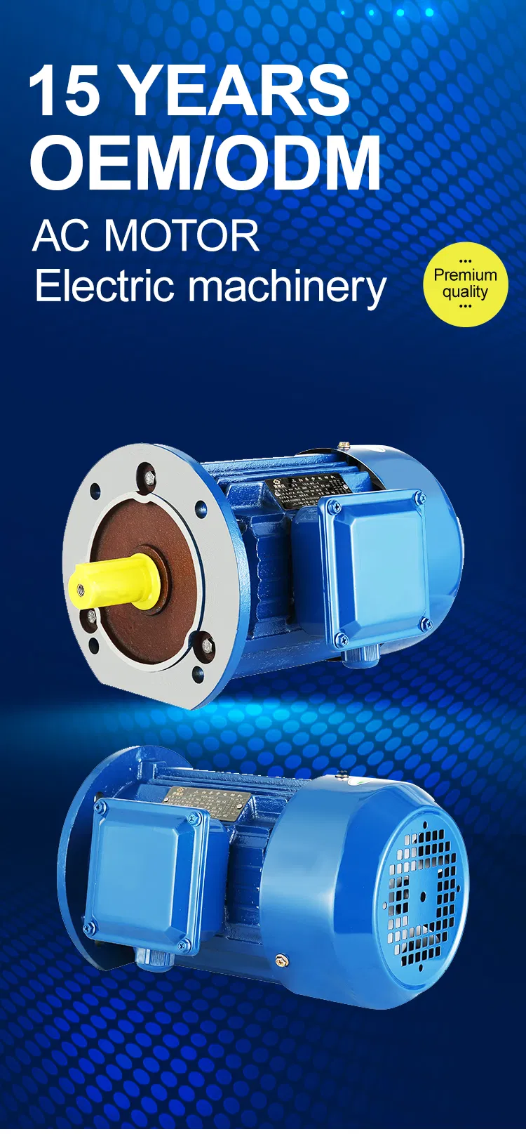 Motor Detail 1