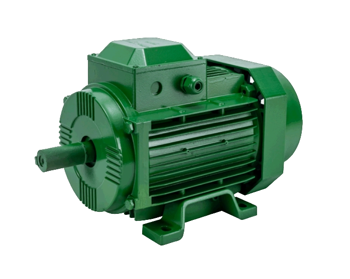 High-Torque Geared Motor Three Phase Asynchronous Motor with Squirrel-Cage Rotor for Reliable Performance