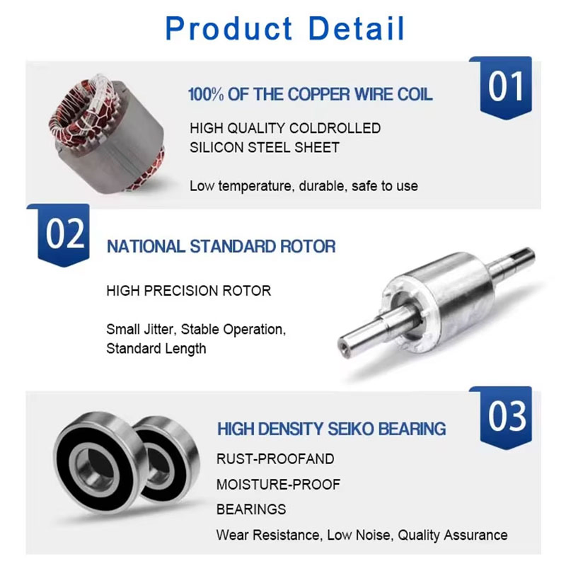 Wolong Nanyang Yfb3 Series Low Voltage Dust Explosion-Proof Asynchronous Three-Phase AC Motor