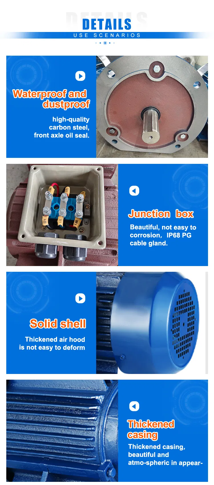 Motor Detail 2