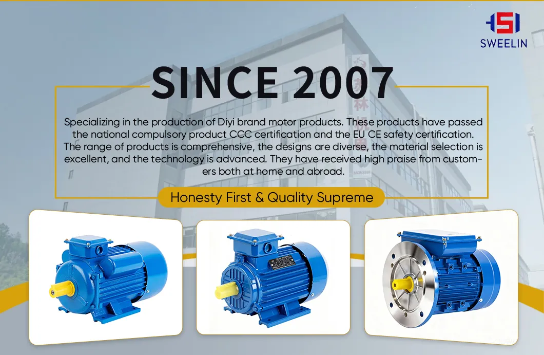 YE2 Electric Motor