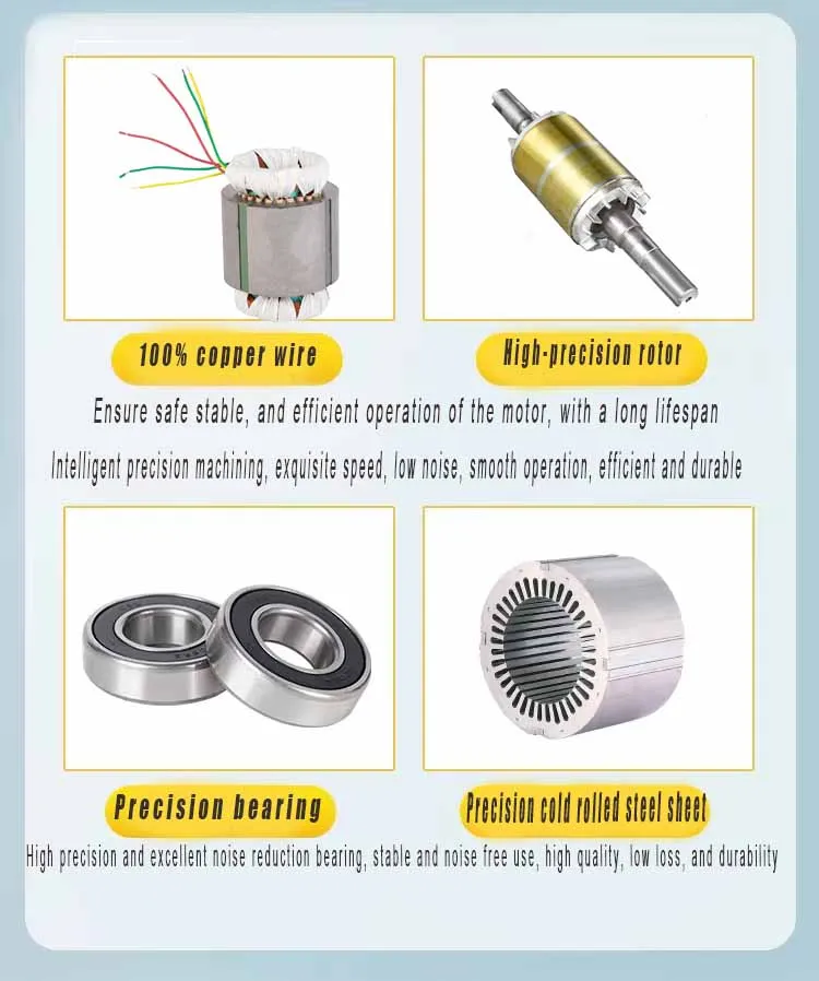 Induction AC Electric Motor