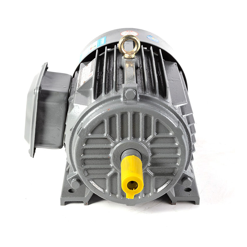 Durable 40HP Power Three Phase Asynchronous Electric Motor for Heavy-Duty Applications AC Motor / DC Motor