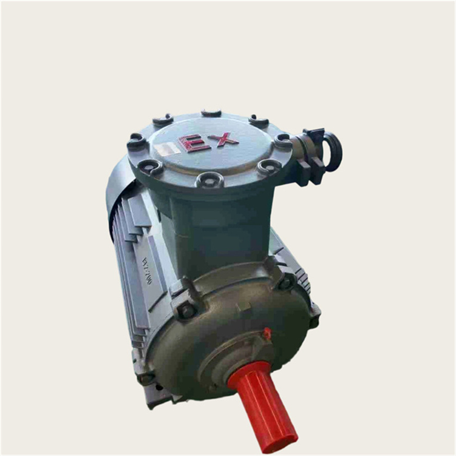 50Hz Explosion Proof Pump Motor Three Phase Asynchronous AC Induction Electric Motor