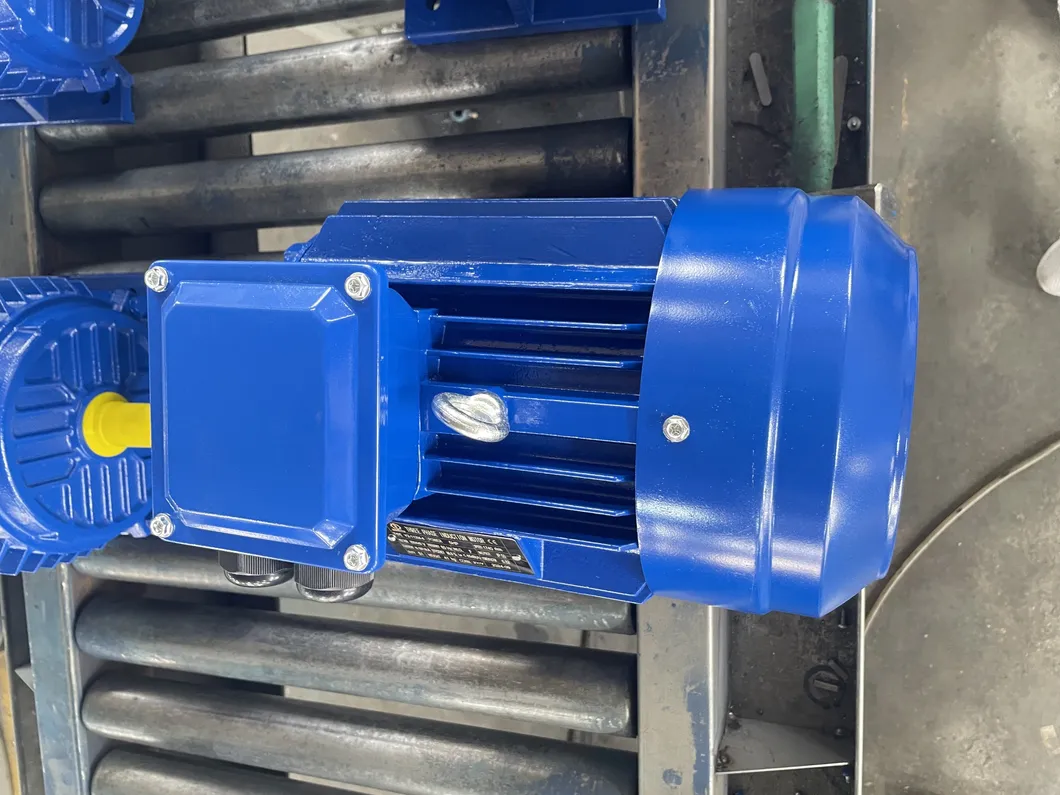 Motor detail 5