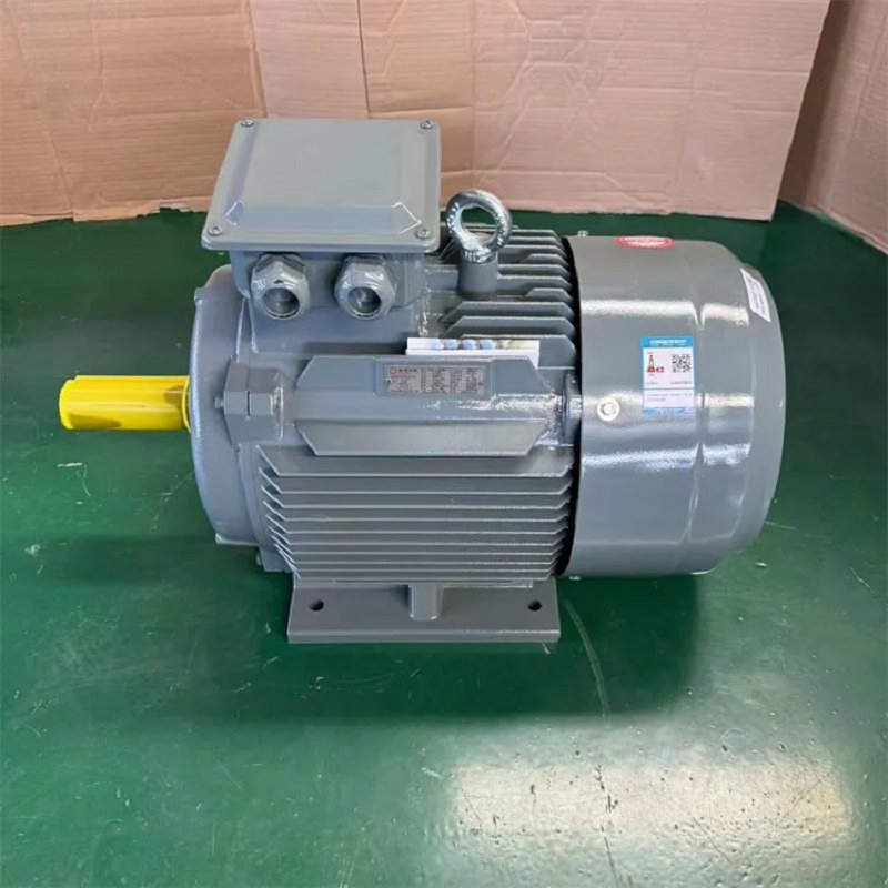 Heavy Duty High Voltage Electric Motor with Explosion Proof Design
