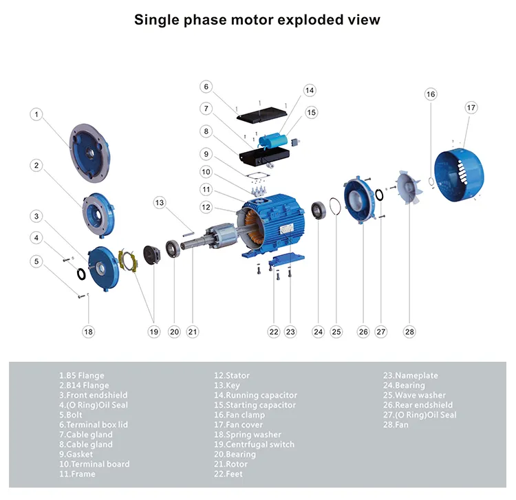 Motor 5