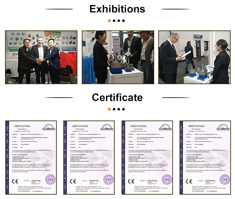 Exhibition Highlights