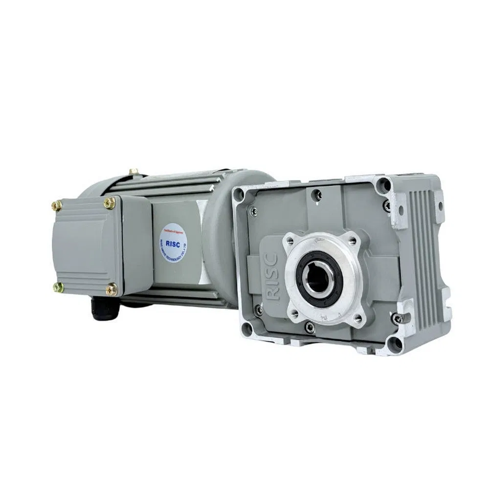 Low Vibration RF40 Worm Gear AC Asynchronous Motor for Automated Warehousing Conveying