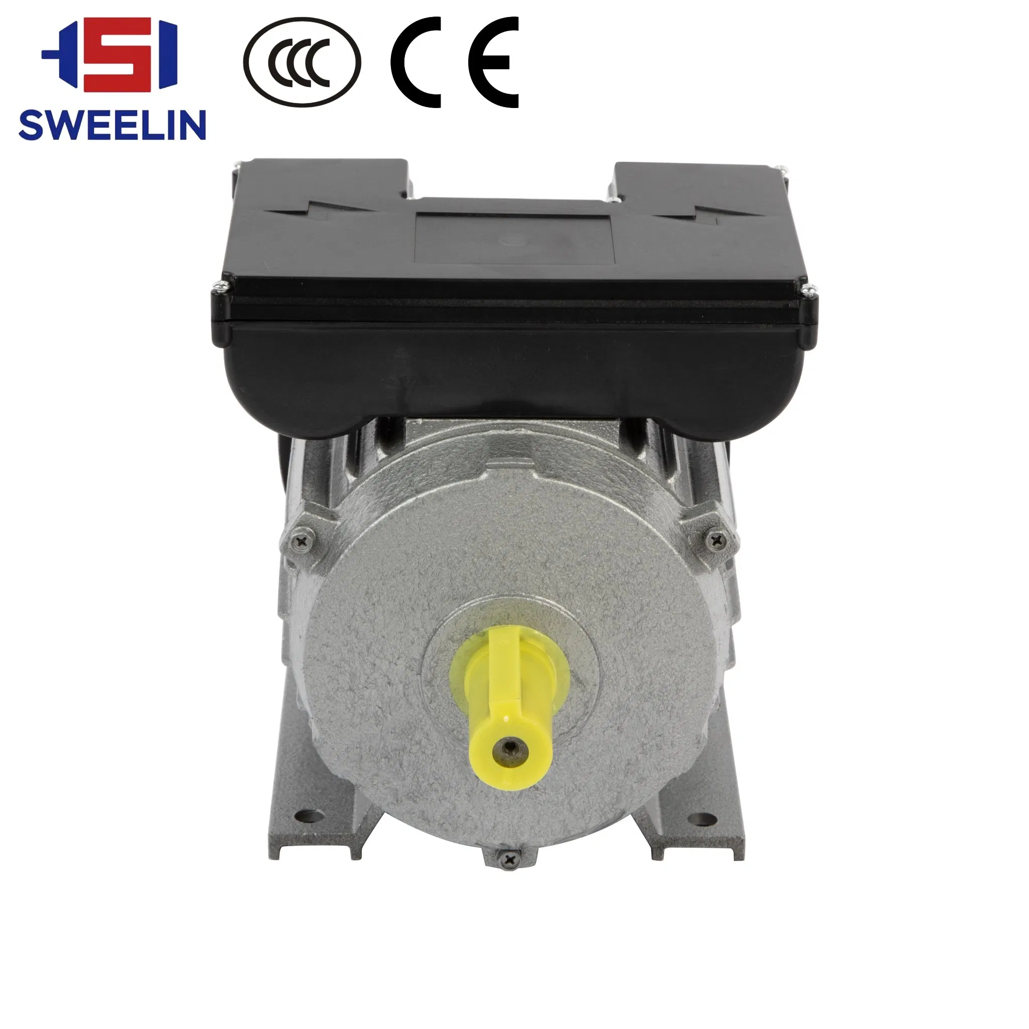 AC Induction Electrical/Electric Motor 3 Phase Motor with 3kw 4kw 5.5kw 7.5kw