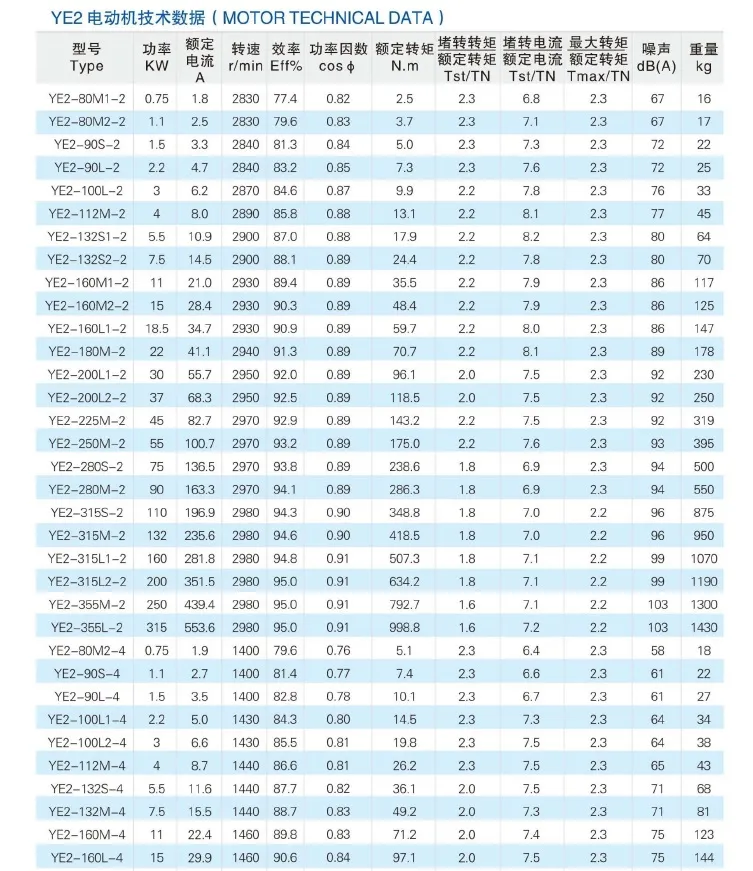 IE2 Induction Motor Profile
