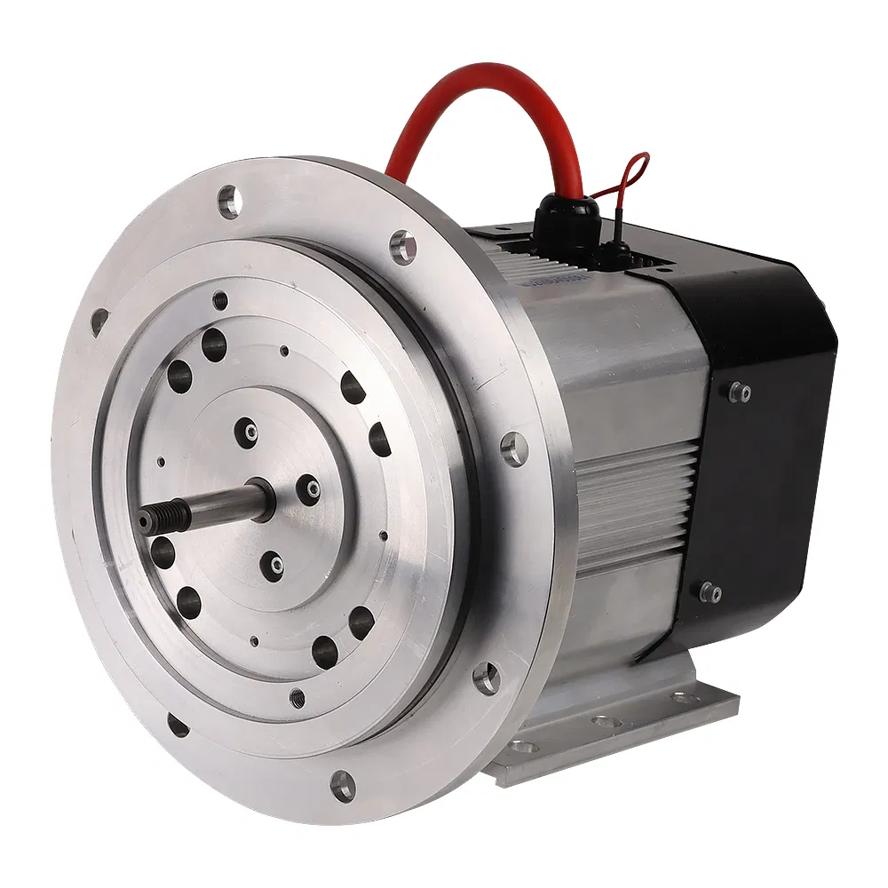 High Speed Synchronous Motor 4