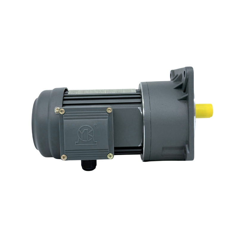 Risc Medium Gear Reduction Motor Ghh Asynchronous Motor with Brake and Reducer