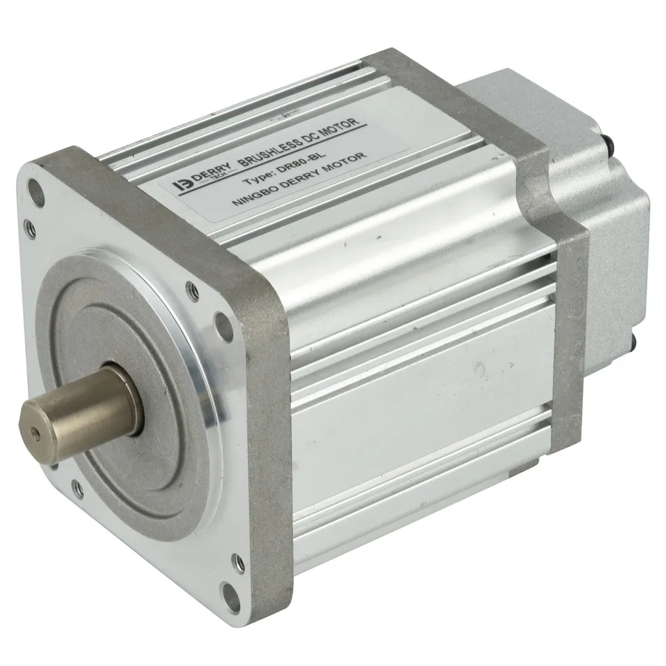 BLDC Motor