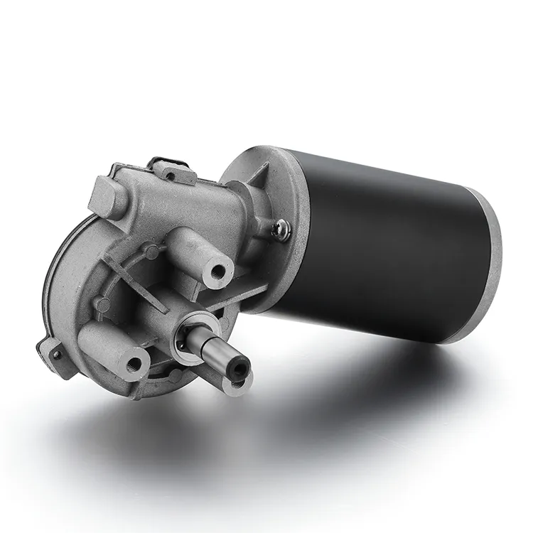 Small Electric Motor